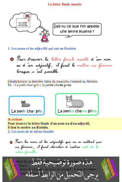 درس مادة الفرنسية La lettre finale muette  – السادس إبتدائي