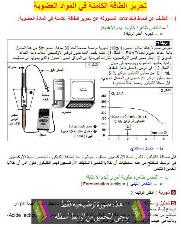 التفاعلات المسؤولة عن تحرير الطاقة الكامنة في المادة العضوية