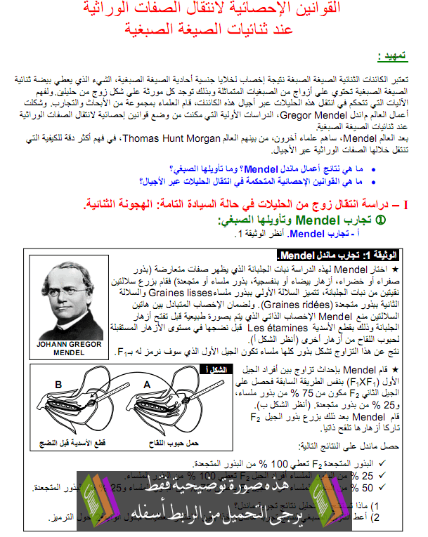 درس القوانين الاحصائية لانتقال الصفات الوراثية عند ثنائيات الصيغة الصبغية - علوم الحياة والأرض - الثانية باكالوريا علوم الحياة والأرض