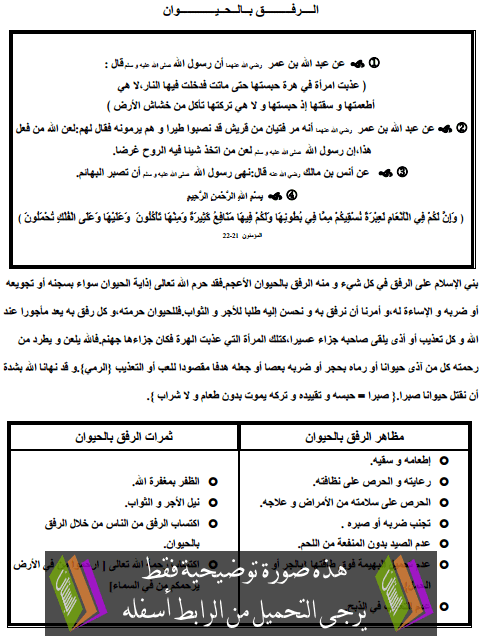 درس التربية الإسلامية: الرفق بالحيوان - السادس ابتدائي