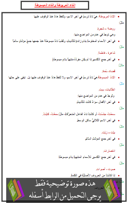 درس الإملاء: التاء المربوطة والتاء المبسوطة – السادس ابتدائي