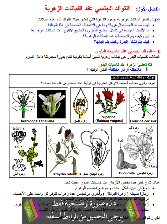 درس التوالد الجنسي عند النباتات الزهرية جذع مشترك علمي وتكنولوجي (علوم الحياة والأرض)