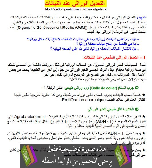 درس التعديل الوراثي عند النباتات جذع مشترك علمي وتكنولوجي (علوم الحياة والأرض)