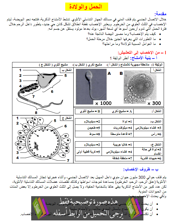 درس علوم الحياة والأرض: الحمل والولادة - الأولى باكالوريا آداب