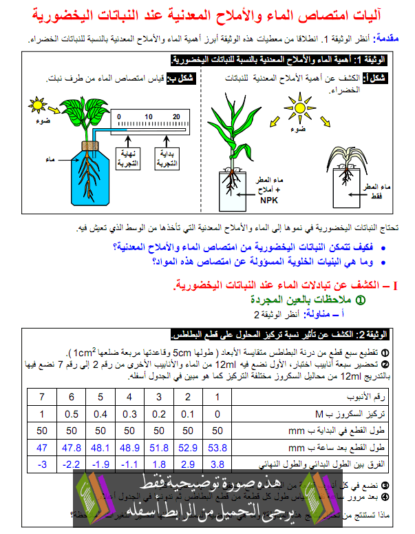 درس علوم الحياة والأرض: آليات امتصاص الماء والأملاح المعدنية عند النباتات اليخضورية - الأولى باكالوريا علوم تجريبية