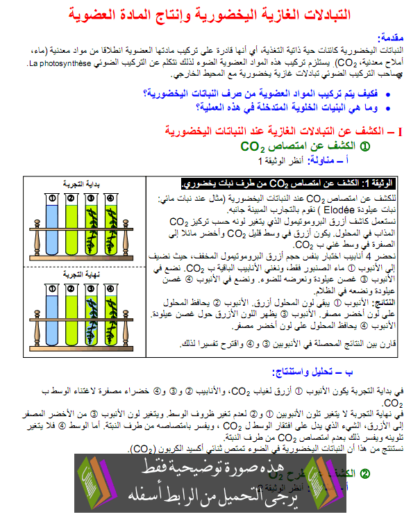 درس علوم الحياة والأرض: التبادلات الغازية اليخضورية وانتاج المادة العضوية من طرف النباتات - الأولى باكالوريا علوم تجريبية