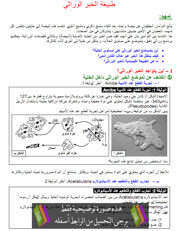 درس طبيعة الخبر الوراثي - علوم الحياة والأرض - الثانية باكالوريا علوم زراعية