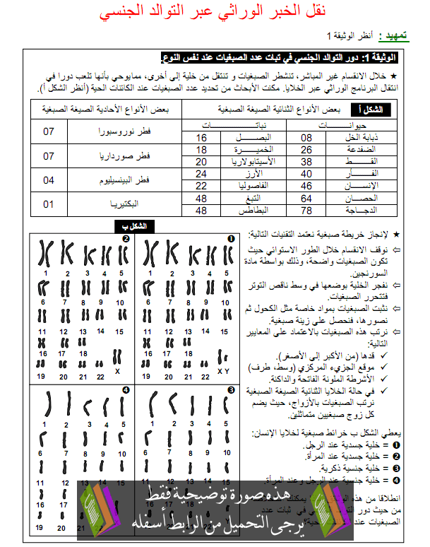 درس علوم الحياة والأرض: نقل الخبر الوراثي عبر التوالد الجنسي - الثانية باكالوريا علوم رياضية
