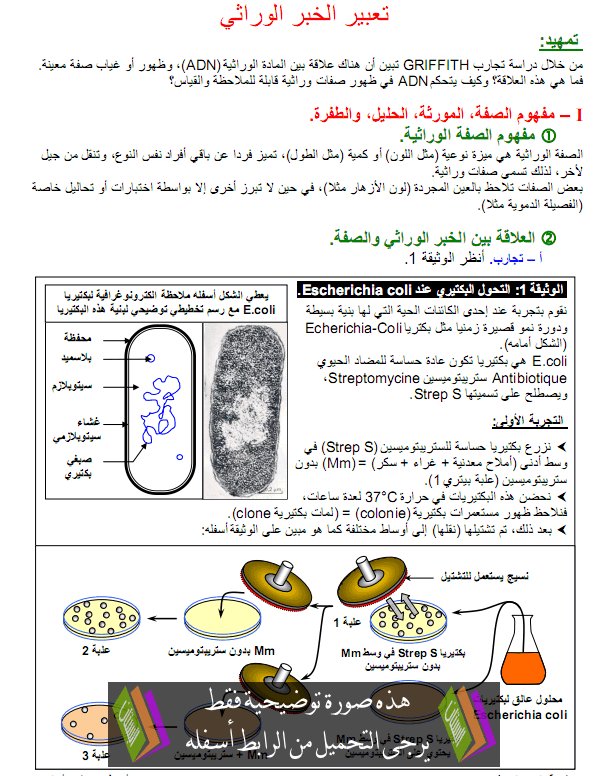 درس تعبير الخبر الوراثي - علوم الحياة والأرض - الثانية باكالوريا علوم الحياة والأرض