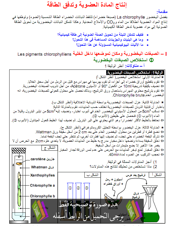 درس علوم الحياة والأرض: انتاج المادة العضوية وتدفق الطاقة - الأولى باكالوريا علوم تجريبية